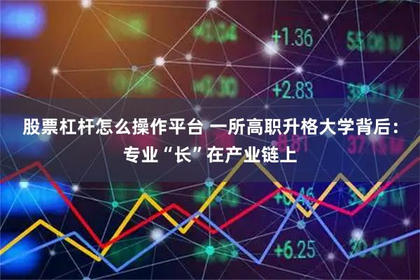 股票杠杆怎么操作平台 一所高职升格大学背后：专业“长”在产业链上